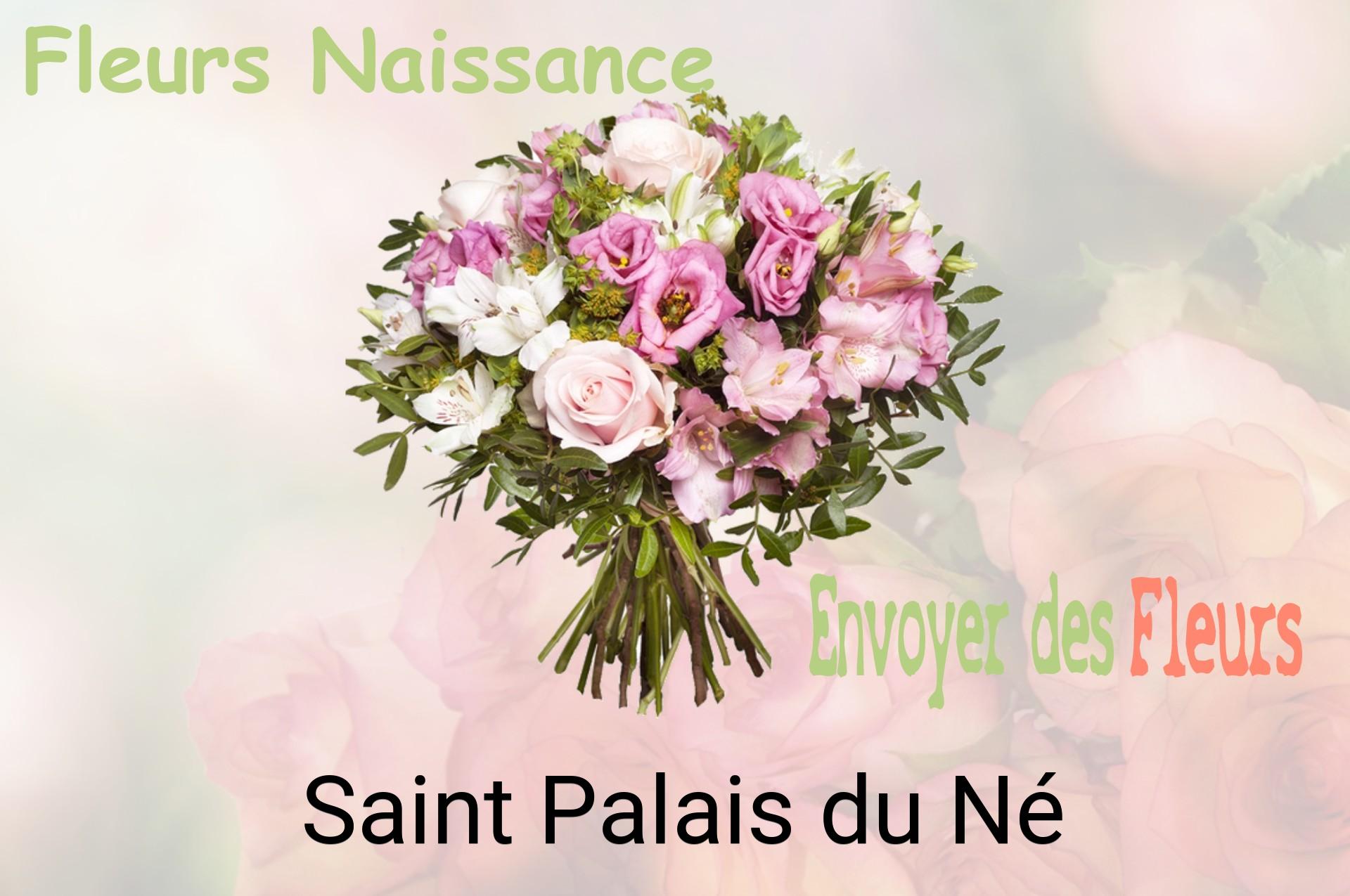 Bouquet de fleurs de naissance livré à Saint-Palais-du-Né
